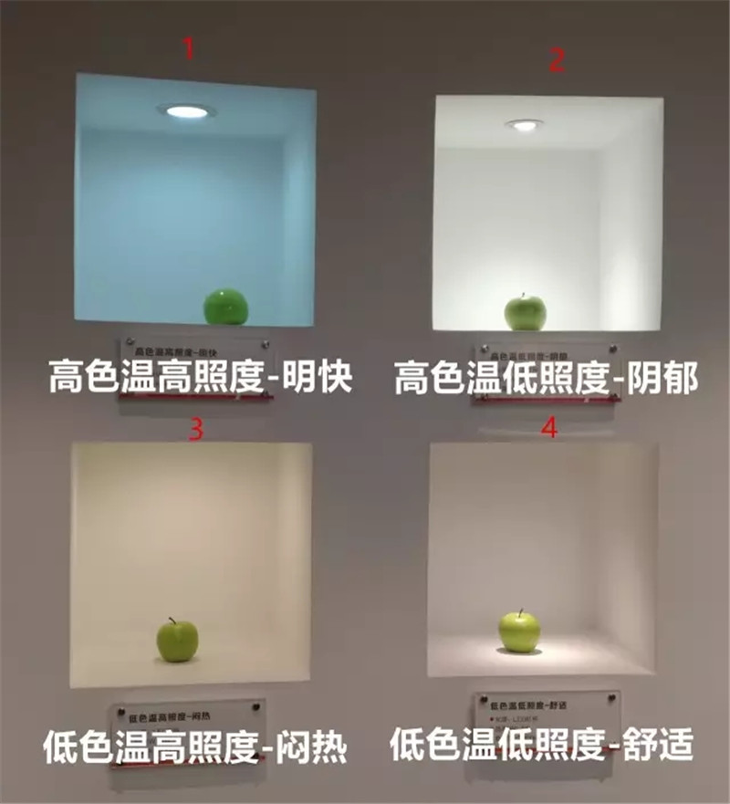 light up点亮：干货 